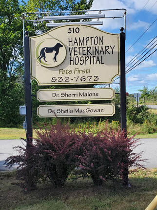 Hampton Veterinary Hospital - Home